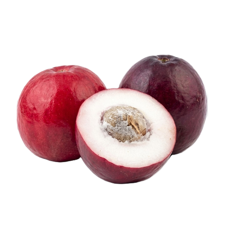Jambo Kg