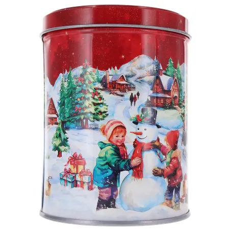 Biscoito s.edwiges cookies natal lt 100g 360-12