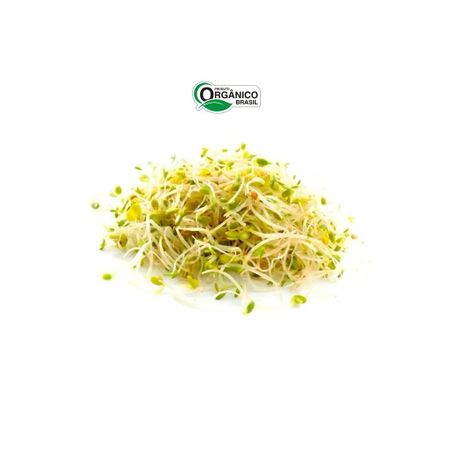 Brotos de Alfafa Orgânico Econativa 100g