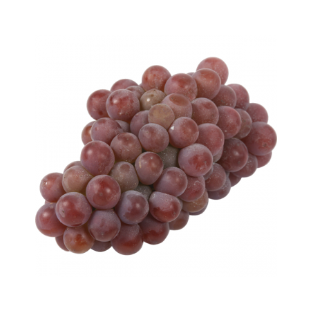 UVA ROSA KG