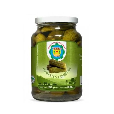 PEPINO TERRA VIVA 300G CONSERVA