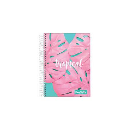CADERNO JANDAIA CD ESPIRAL UNIV STELLA 80 FLS      360-2
