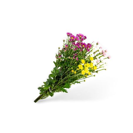 Maço de flores dekkorar madiba