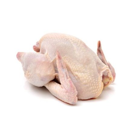 Frango kg resfriado