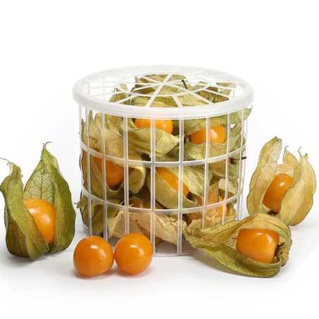 PHYSALIS 100G UN	