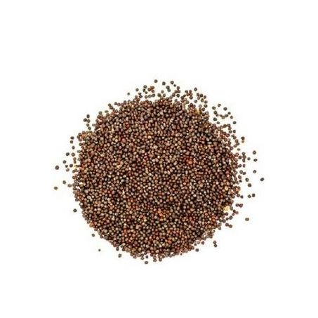 Mostarda Grão Preta 50g