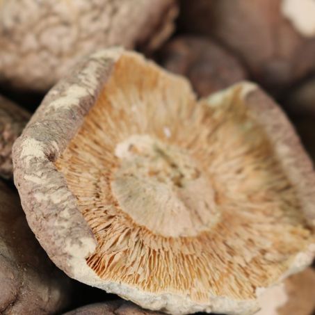 SHITAKE INTEIRO KG