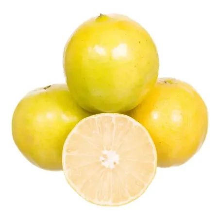 LARANJA LIMA DA PERSIA KG