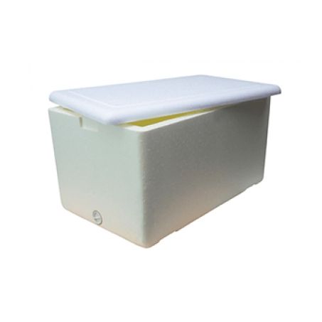 CAIXA ISOPOR C/ALCA 24L