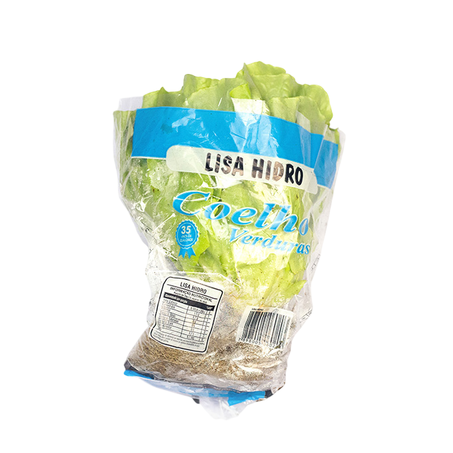 Feira Alface Lisa Coelho Un