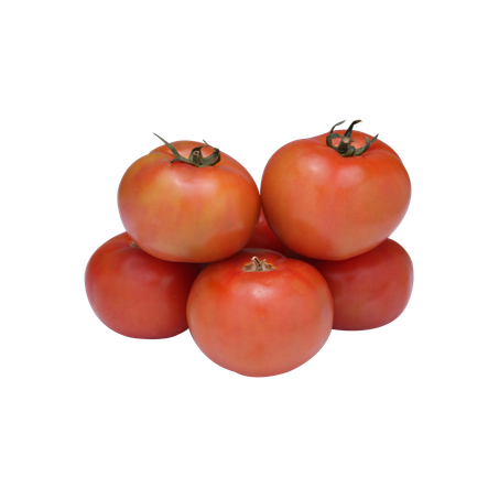 Tomate Kg