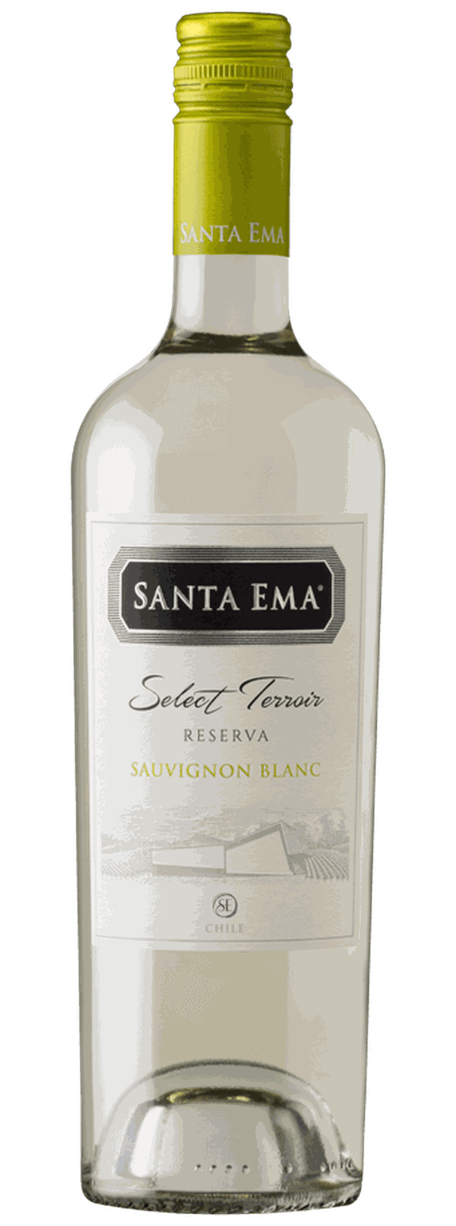 Vinho chileno santa ema select terroir sauvignon blanc 750ml