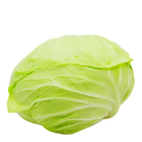 Repolho Verde Un 300g Campo Vivo