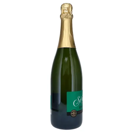 ESPUMANTE SALTON SERIES DEMI SEC 750ML 360-29