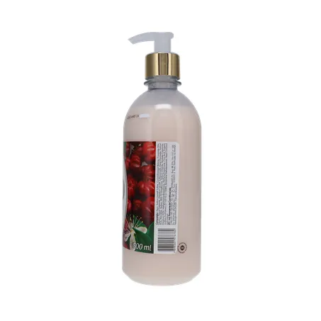 Sabonete Líquido H2OH! Pitanga Frasco 500ml 360-10
