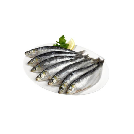 Peixe Sardinha Salgada Kg Balde