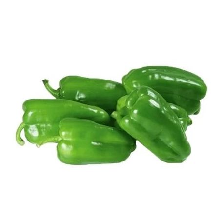 PIMENTAO VERDE KG