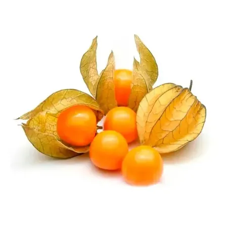 Physalis 100g Bandeja 