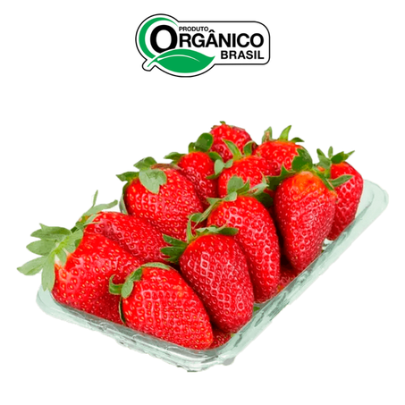 MORANGO ORGANICO FUND 250G