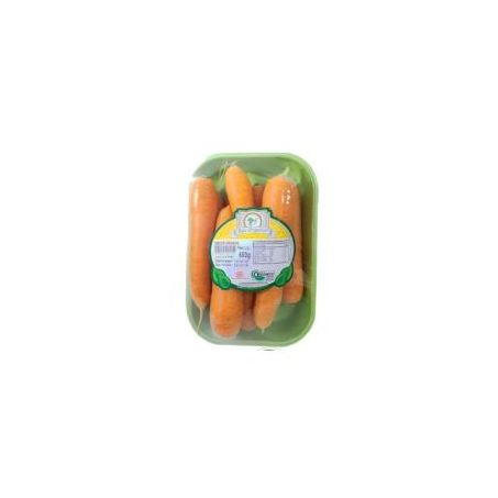 Mandioquinha Organico 500g Go Green