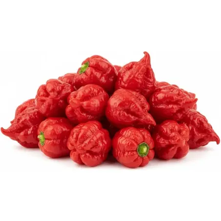 Pimenta Scorpion Kg 