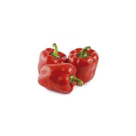 PIMENTAO VERMELHO KG
