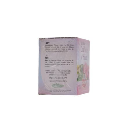Chá Misto Chileno Chá Verde e Hibisco Caixa com 10un - 10gr 360-48
