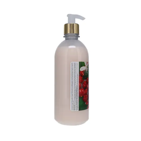 Sabonete Líquido H2OH! Pitanga Frasco 500ml 360-24