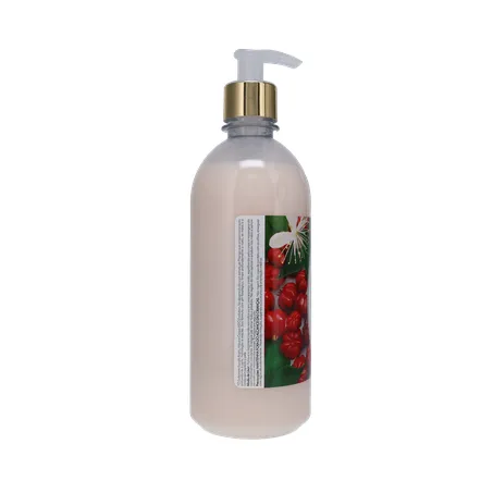 Sabonete Líquido H2OH! Pitanga Frasco 500ml 360-25