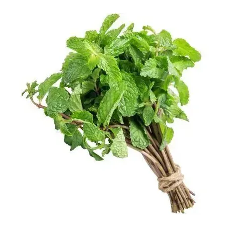 Hortela 40g Sato