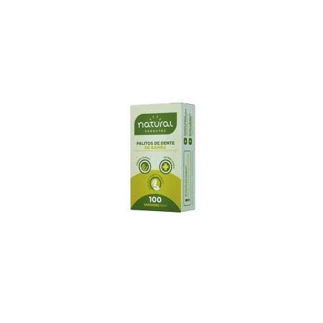 Palitos de Dente Natural Produtos de Bambu Caixa com 100un - 15gr