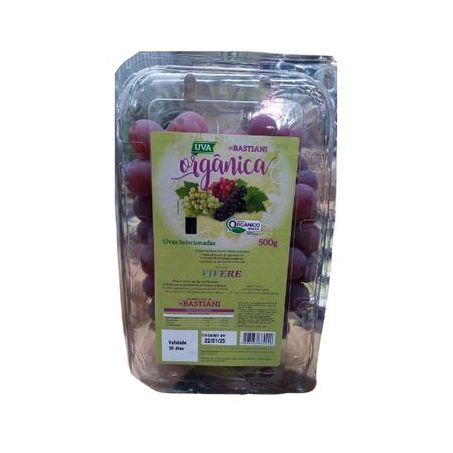 Uva Orgânica De Bastiani 500g