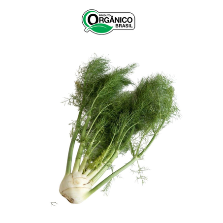 ERVA DOCE FUNCHO ORGANICA 300G