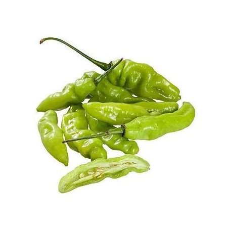 Pimenta Cheiro Kg Creme