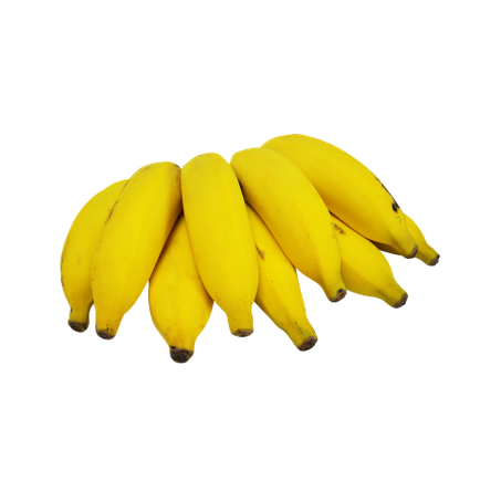BANANA BRANCA