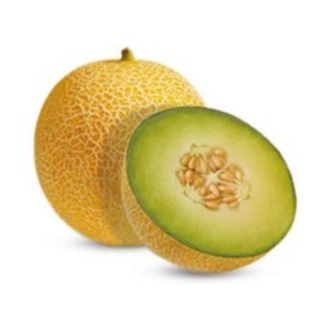 MELAO GALIA KG