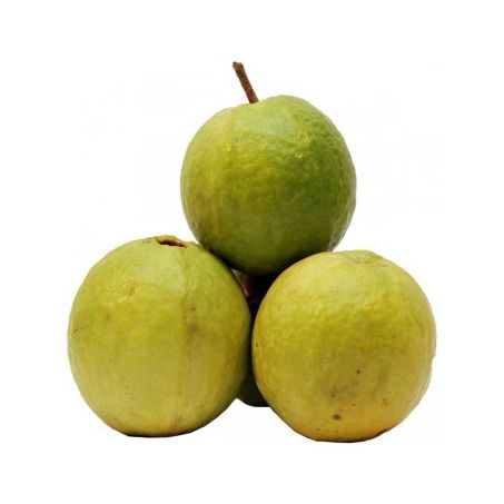 Goiaba Kg 
  - Peso Aprox. Un 0,300 kg