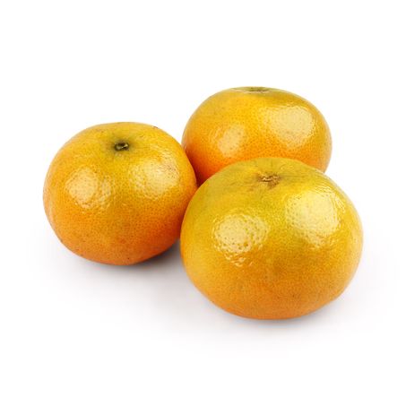 Morgota kg