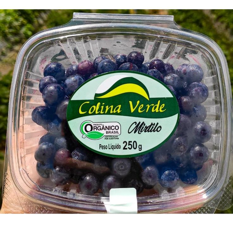 Fruta Cong Colina Verde 250g Mirtilo