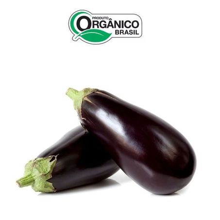 Berinjela Orgânica Econativa 500g