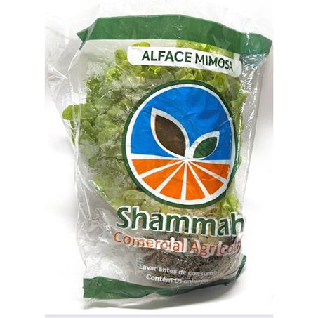 ALFACE MIMOSA VIDA VERDE