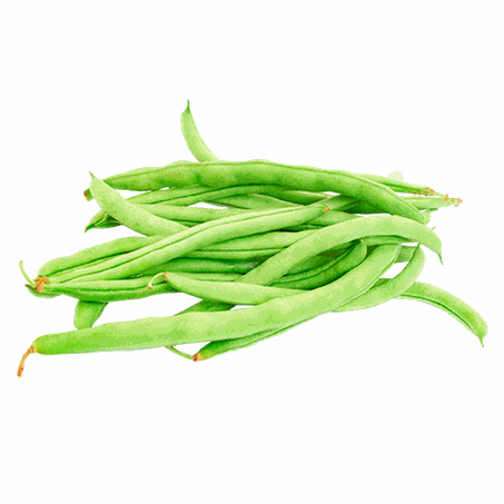 VAGEM KG