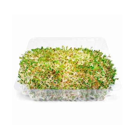 BROTOS DE ALFAFA 150G MIZU/PRIMALTA