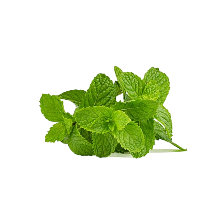 Feira hortela verde cia un
