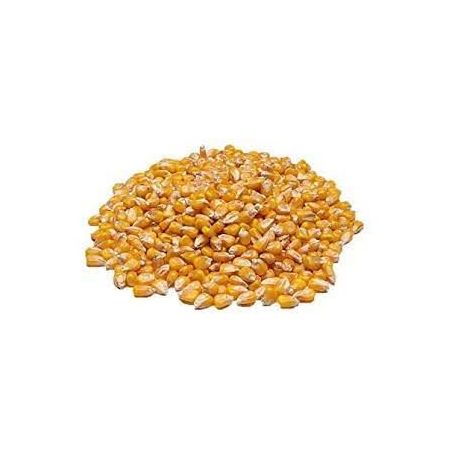 MILHO CZM 5KG INTEIRO