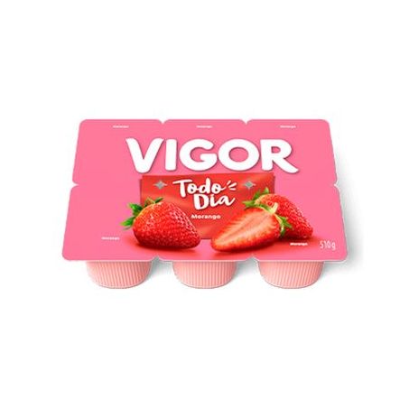 Bebida láctea vigor polpa morango 510g