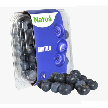 MIRTILO IMPORTADO BELLA PREMIUM [BLUEBERRY] 125G 360-1
