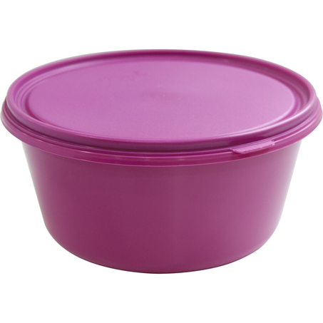 Pote Hermético Plasvale 4,75 Litros - Redondo - Ref. 244