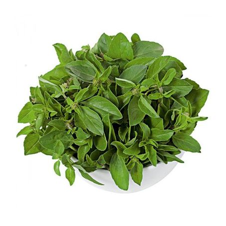 Manjericao Organico 50g Go Green