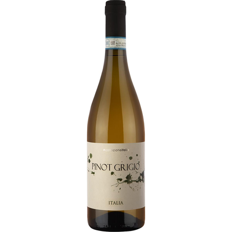 Vinho Italiano Collezione 750ml - Pinot Grigio